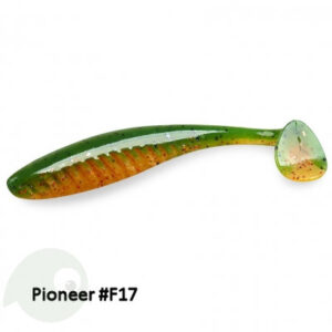 IAM Format Pioneer #F17