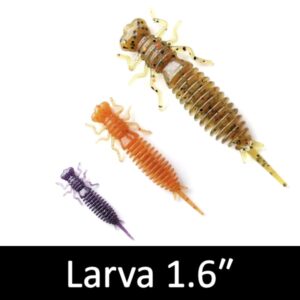Larva 1.6"