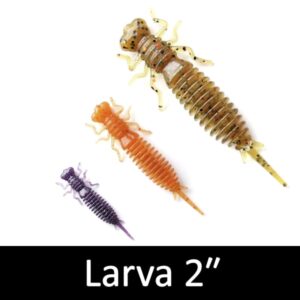 Larva 2"