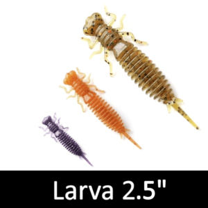 Larva 2.5"