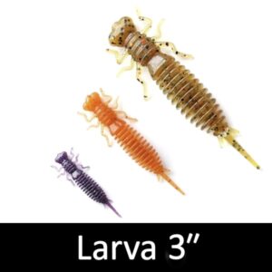 Larva 3"